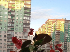 Актуальный Краснодар 25 апреля: Радоница. Возможен дождь. Не будем горевать, плакать и ругаться. Завидуем депутатам