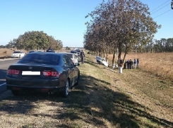На Кубани «Лада Приора» врезалась в дерево, погибла женщина 