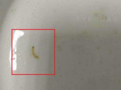 В каше в одном из детских садов Краснодара нашли гусениц 