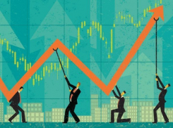 Кубань увеличила объем госзакупок на 40%