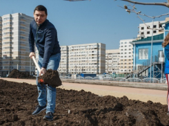  Мэр Краснодара снова сажал деревья на новой аллее 