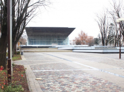  Пальмы в краснодарском кинотеатре «Аврора» спасут от холода 