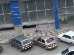 Дело умершего стрелка из Крымска направили в суд