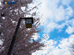 Понедельник не порадует краснодарцев солнечной погодой