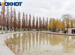 В Краснодаре развеяли три мифа о парке Галицкого