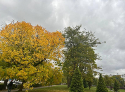 Всего до +11 градусов прогреется воздух в Краснодаре сегодня 