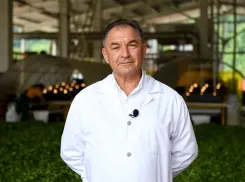 Как распилили крупнейшее производство краснодарского чая: кому понадобилось сливание ТД «Мацеста чай с 1947 года»