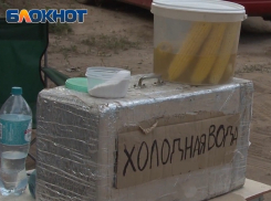 В Краснодарском крае аномальная засуха уничтожает урожай кукурузы