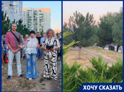 Набережная под угрозой: краснодарцы выступили против уничтожения зеленой зоны ради мусорки