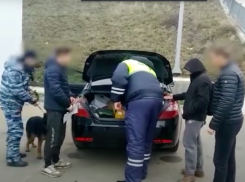 Задержание двух жителей Крыма с наркотиками на посту ДПС Темрюка попало на видео