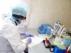 На Кубани 13 мая зафиксировано 95 случаев коронавируса