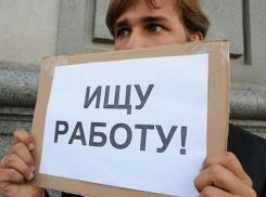 В Краснодаре на одно рабочее место претендуют 12 специалистов 