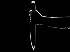 Трое мужчин задушили друга и изнасиловали сожительницу убитого на Кубани