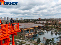 QR-кодов нет, но могут появиться: краснодарцы с раннего утра встали в очередь в Японский сад