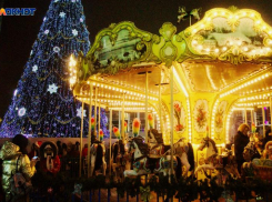 Елочные базары, украшение города: в администрации Краснодара рассказали о новогодних праздниках