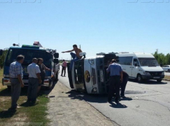  «ГАЗель» из Краснодара с цирковым медведем внутри перевернулась в Волгодонске 