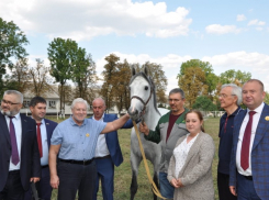 Лидер «СПРАВЕДЛИВОЙ РОССИИ – ЗА ПРАВДУ» Сергей Миронов посетил конный завод «Восход» и выставку сельхозпроизводителей на Кубани