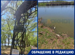 «Спасите озеро»: туристы бьют тревогу из-за мора рыбы у монастыря на Кубани