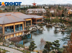 «У барыг накрылся бизнес»: у Японского сада в парке Галицкого проверяют qr-коды краснодарцев