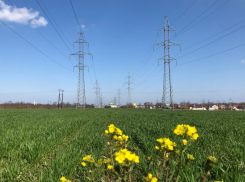 «Россети Кубань» подключила к электросетям около 100 объектов АПК в юго-западном энергорайоне