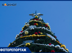 Краснодарцы раскритиковали главную городскую елку