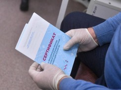 Ростуризм просит разрешить въезд в Краснодарский край с отрицательным ПЦР-тестом