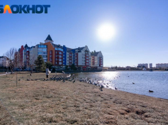 Солнечно и до +8: какая погода ждет краснодарцев в пятницу