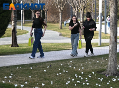 Потепление до +16 градусов ожидается в Краснодаре