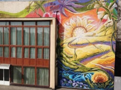 Сельскохозяйственное граффити появилось в Краснодаре