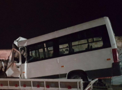 «От хомяков одни беды»: на Кубани маршрутка врезалась в зерновоз