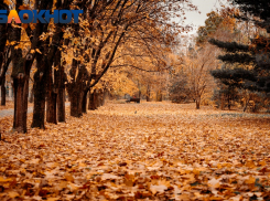 Главное в Краснодаре: тайны Галицкого и Дерипаски выявлены, соцсети открывают аэропорт, снега не будет, а цены на газ вырастут