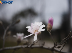 Пятница будет прохладной и дождливой в Краснодаре  