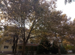 Жители Краснодара будут выбирать дизайн строящихся зданий