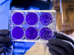 В Краснодарском крае службы скорой помощи работают с тройной нагрузкой