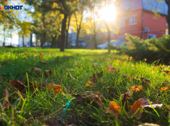 Бульвар «Приозерный» в Краснодаре благоустроят ко Дню защиты детей