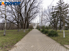 В Краснодарском крае предупредили о штормовом ветре до 20 м/c