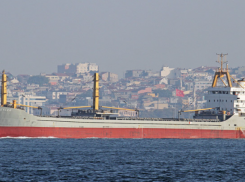 Турецкий сухогруз затонул в Чёрном море