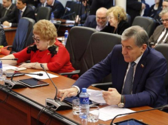  Депутаты краснодарской думы придумали название для двух производственных территорий и индустриального парка