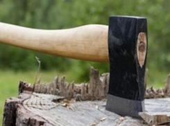 В Выселках владелец кафе спилил три дерева на 1,2 млн рублей