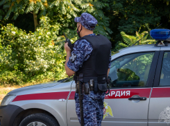 В Краснодаре отчаявшуюся пенсионерку отговорили прыгать с Тургеневского моста