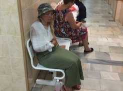  Защищавшую лесополосу от незаконной вырубки женщину избили под Краснодаром 