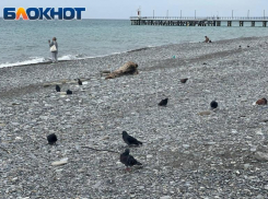 Беспилотник НАТО заметили в 130 км от Сочи 