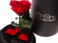 Шикарный подарок со смыслом эксклюзивно в Краснодаре от The ONE Rose Collection
