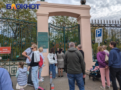 В Краснодаре из-за ветра закрыли Ботанический сад