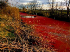  Красиво: Под Краснодаром по неизвестной причине покраснела река 