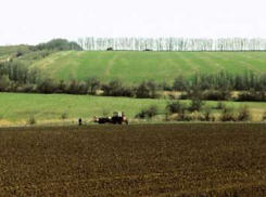 Представители более 20 стран изучат агропромышленный сектор Кубани