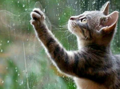 На Кубани пасмурно, пройдут кратковременные дожди