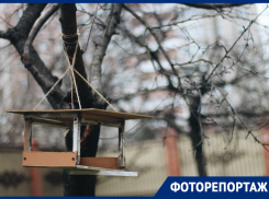 Зимний фоторепортаж из Краснодара: преображение города и сюрпризы декабря