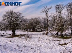 В Краснодарском крае ожидаются снегопады, шторма и морозы