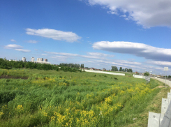 Общественники рассказали о своих победах и поражениях в вопросе благоустройства и застройки Краснодара